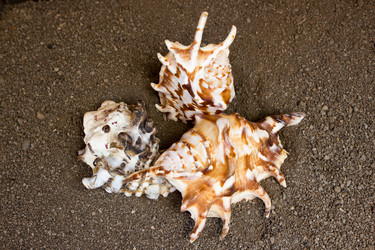 Similar image 8193929