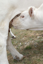 Similar image 8193942