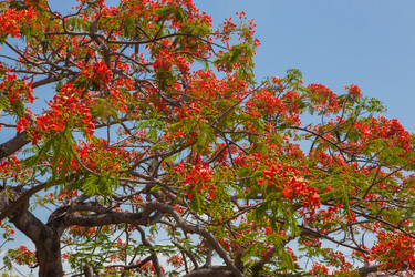 Similar image 8193983