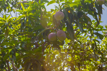 Similar image 8193985