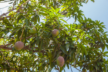 Similar image 8193986