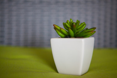 Similar image 8193997