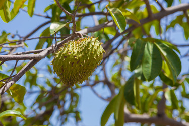 Similar image 8193998