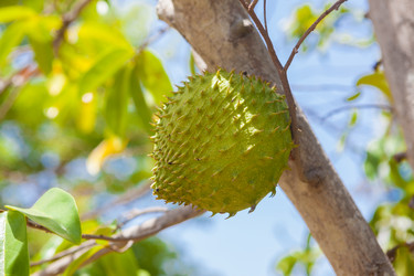 Similar image 8193999