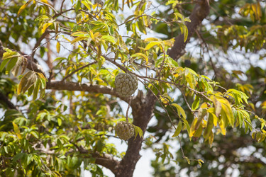 Similar image 8194002