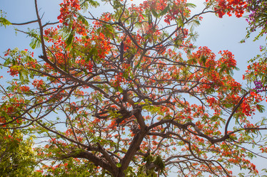 Similar image 8194003