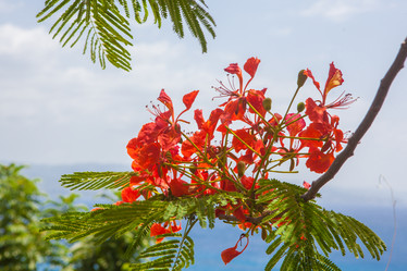 Similar image 8194004