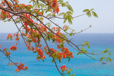 Similar image 8194005