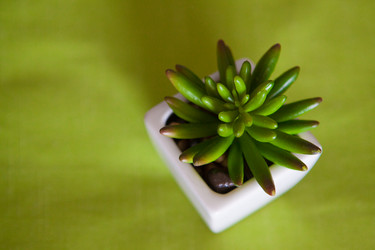 Similar image 8194006