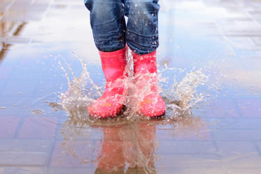 Similar image 8194028