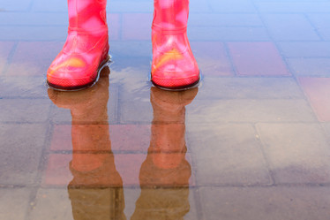 Similar image 8194044