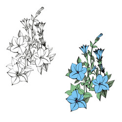 Similar image 8194073