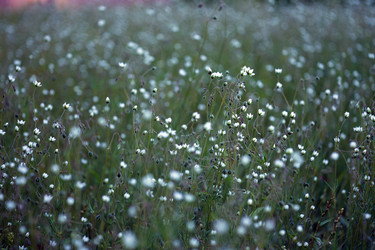 Similar image 8194077