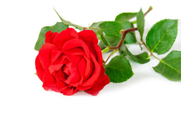 Similar image 8194096