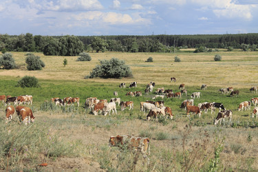 Similar image 8194099