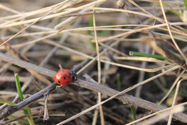 Similar image 8194102