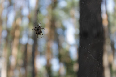 Similar image 8194103