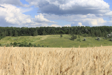 Similar image 8194104