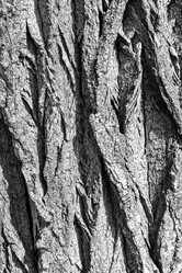 Similar image 8194129