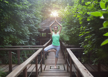 Similar image 8194264