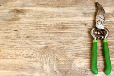 Similar image 8194319