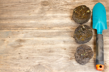 Similar image 8194320