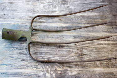 Similar image 8194371