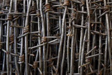 Similar image 8194373