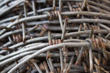 Similar image 8194374