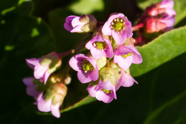 Similar image 8194400