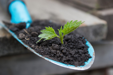 Similar image 8194406