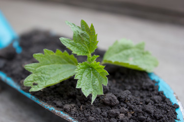 Similar image 8194407