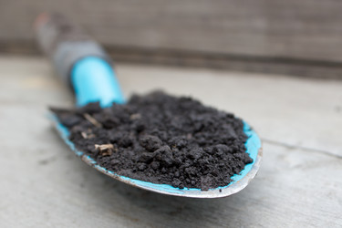 Similar image 8194408