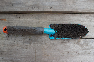 Similar image 8194409