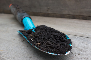 Similar image 8194410