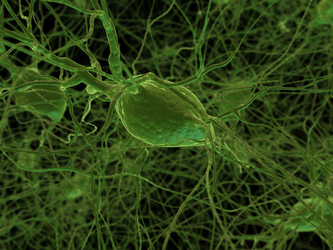 Similar image 8194435