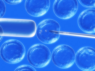 Similar image 8194461