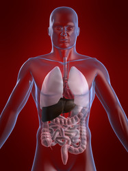 Similar image 8194486