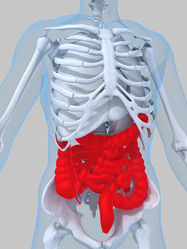 Similar image 8194502