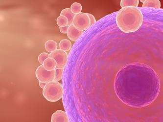 Similar image 8194564