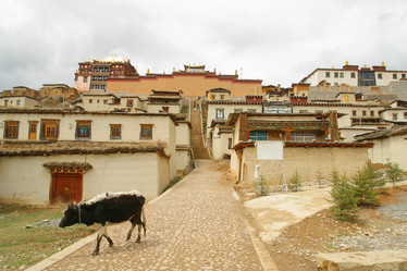 Similar image 8194574