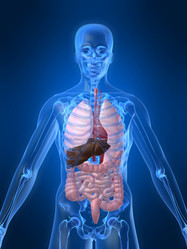 Similar image 8194583