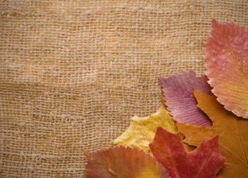 Similar image 8194609