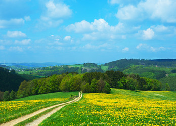 Similar image 8194612