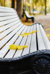 Similar image 8194615