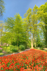 Similar image 8194643