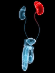 Similar image 8194652