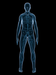 Similar image 8194685