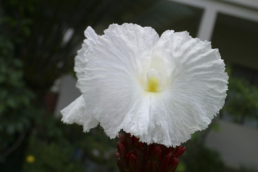 Similar image 8194688