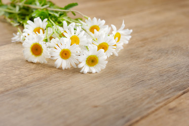 Similar image 8194726